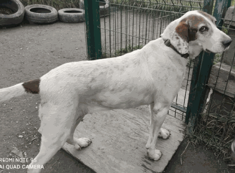 Odoo - Prova 1 a tres columnes