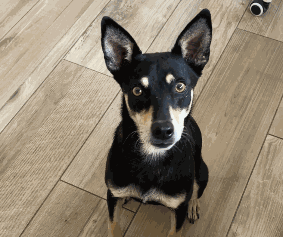 Odoo - Prova 3 a tres columnes