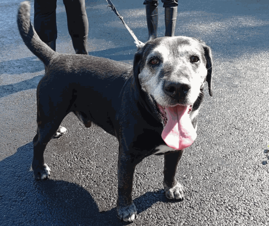 Odoo - Prova 3 a tres columnes