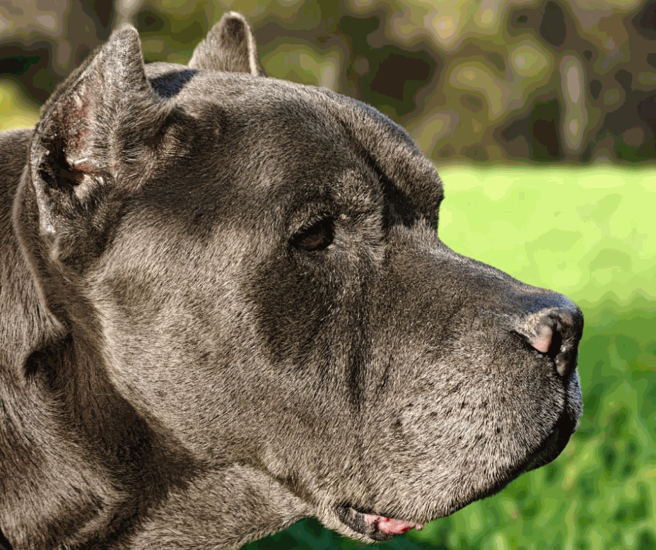 Odoo - Prova 3 a tres columnes