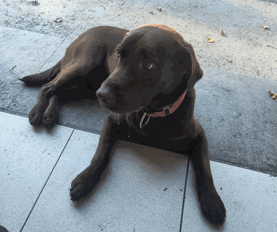 Odoo - Prova 3 a tres columnes