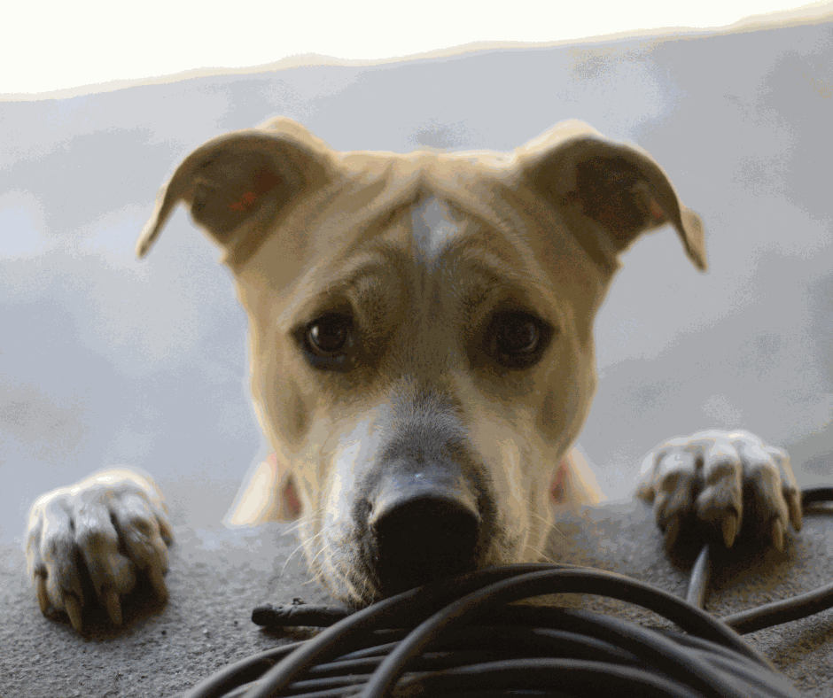 Odoo - Prova 2 a tres columnes