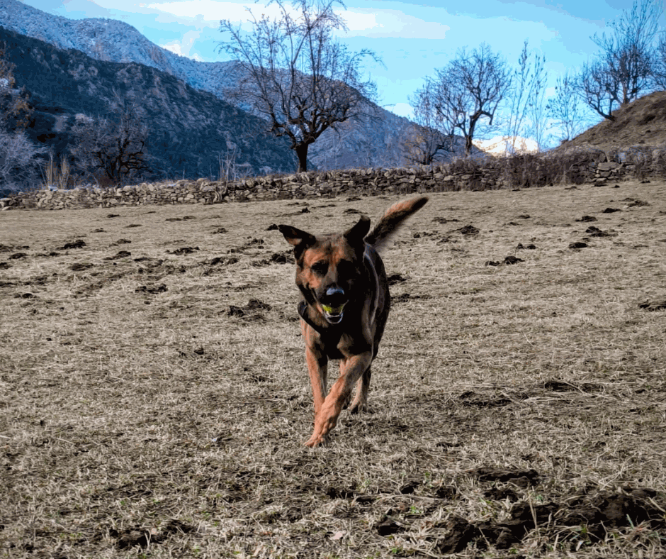 Odoo - Prova 2 a tres columnes